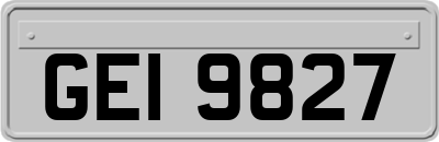 GEI9827