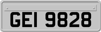 GEI9828