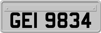 GEI9834