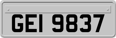 GEI9837