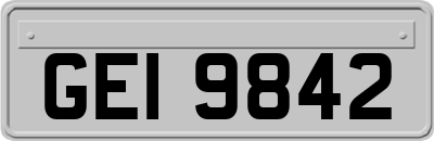 GEI9842