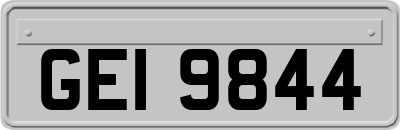GEI9844