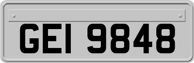 GEI9848