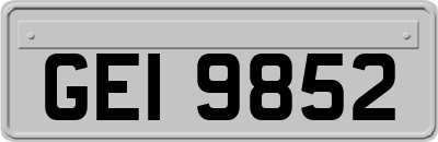 GEI9852