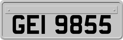 GEI9855