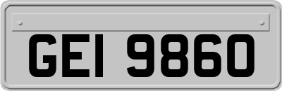GEI9860