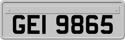 GEI9865