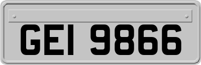 GEI9866
