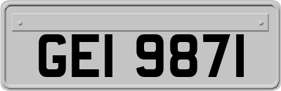 GEI9871