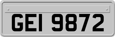 GEI9872