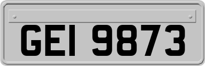 GEI9873