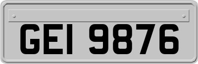 GEI9876
