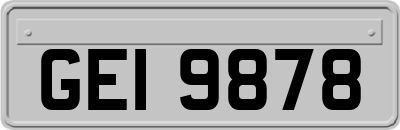 GEI9878