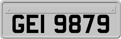 GEI9879
