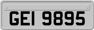 GEI9895