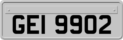 GEI9902
