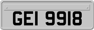 GEI9918