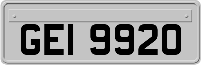 GEI9920