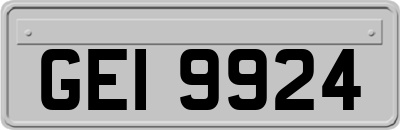 GEI9924