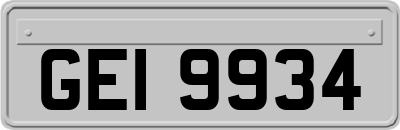 GEI9934