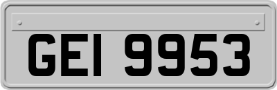 GEI9953