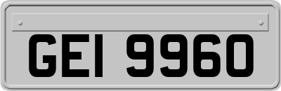 GEI9960