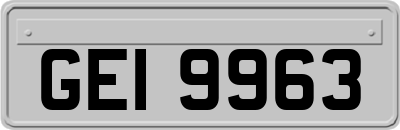 GEI9963