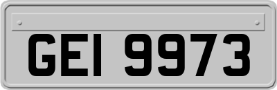 GEI9973