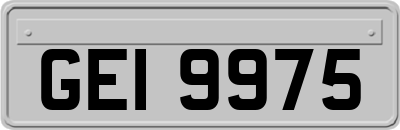 GEI9975