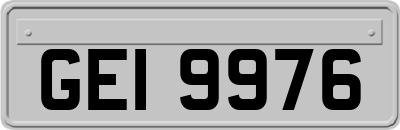 GEI9976