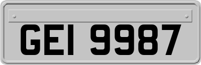 GEI9987