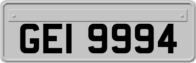 GEI9994