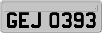 GEJ0393