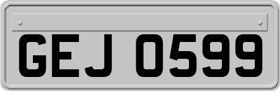 GEJ0599