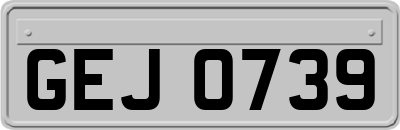 GEJ0739