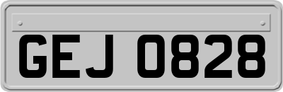 GEJ0828