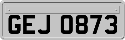 GEJ0873