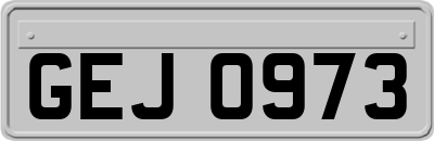 GEJ0973