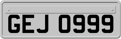 GEJ0999