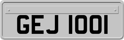 GEJ1001