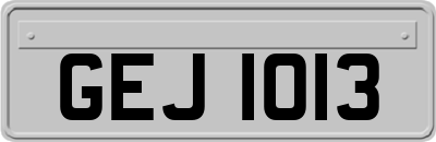 GEJ1013