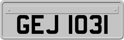 GEJ1031