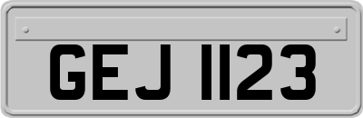 GEJ1123
