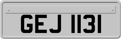 GEJ1131