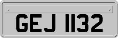 GEJ1132