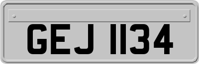 GEJ1134