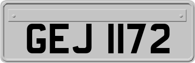 GEJ1172