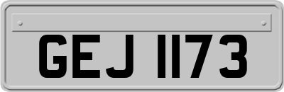 GEJ1173