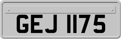 GEJ1175