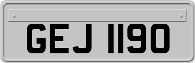 GEJ1190